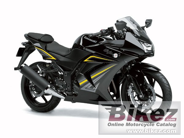 Big Kawasaki ninja 250r picture and wallpaper from Bikez.com